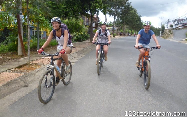 Bicycle type and rental price