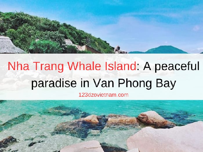 Nha Trang Whale Island: A peaceful paradise in Van Phong Bay