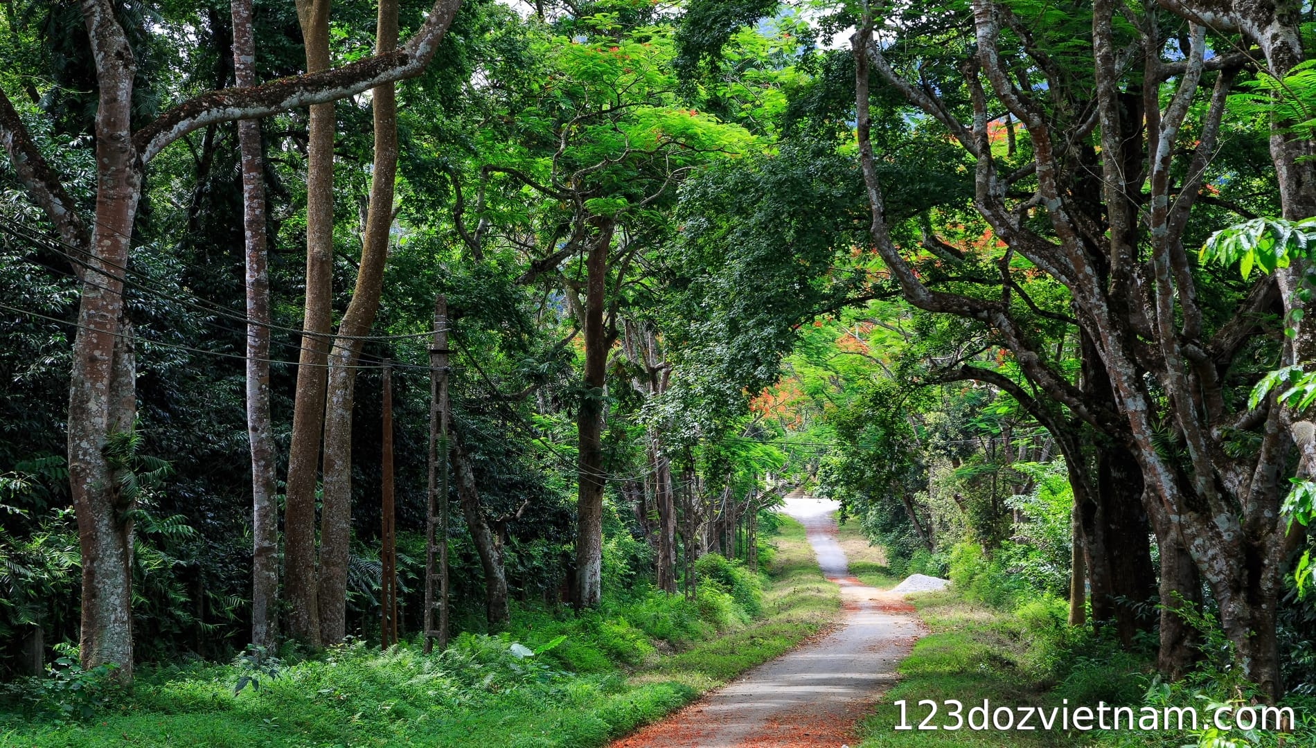 The reason I chose to explore Cuc Phuong National Park