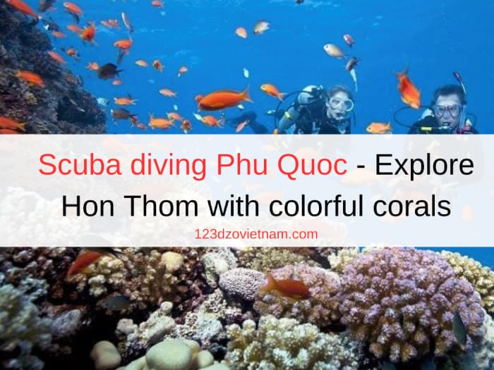 Scuba diving Phu Quoc - Explore Hon Thom with colorful corals