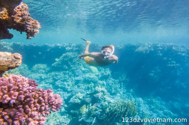 Scuba diving Phu Quoc Vietnam tours
