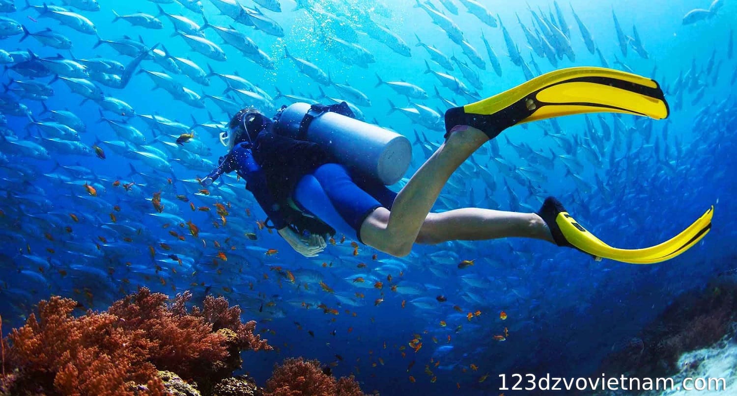 Start your adventure under the sea of ​​Hon Thom