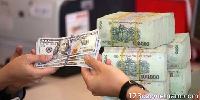 Does Vietnam accept US dollars?