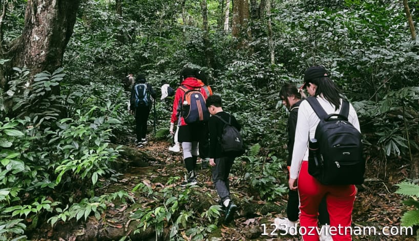Useful tips and notes you definitely need when going to the forest