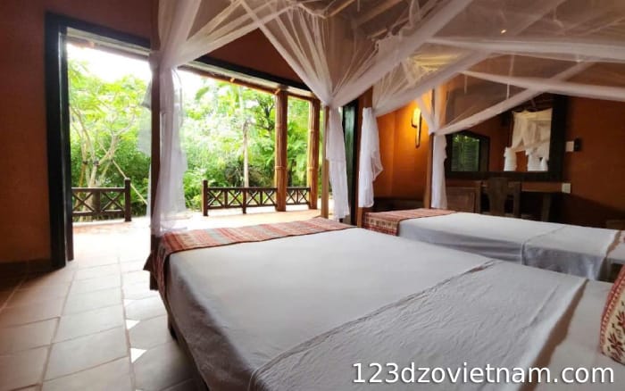 Whale Island Resort inside