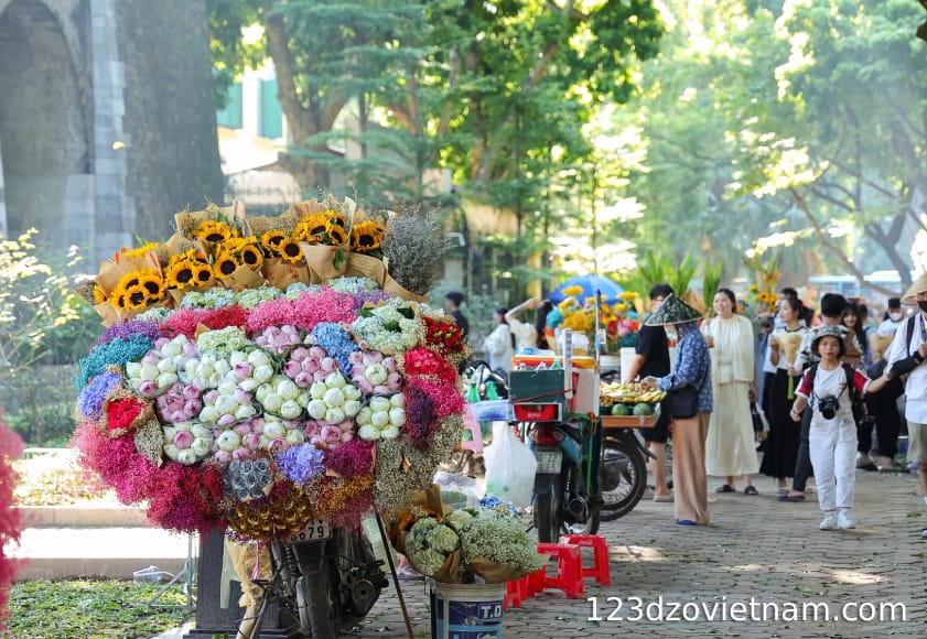 Taking photos of Hanoi's autumn at Phan Dinh Phung street