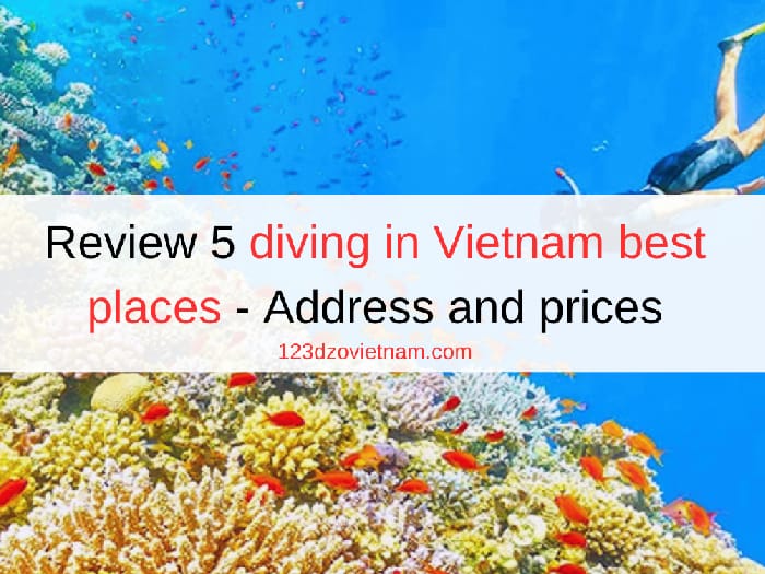 Review 5 diving in Vietnam best places - Address and prices