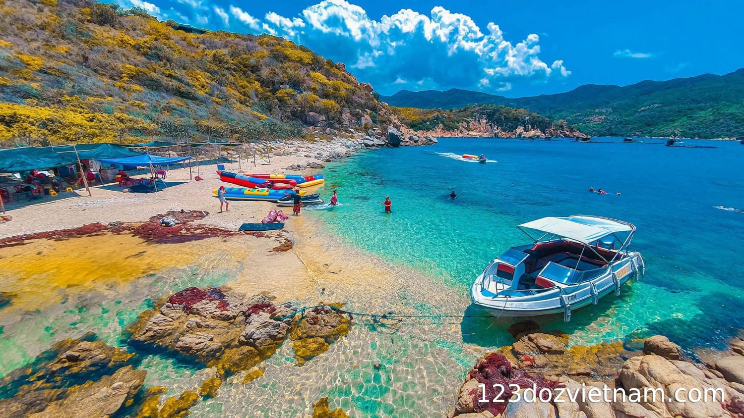 Diving in Vinh Hy Bay (Ninh Thuan)