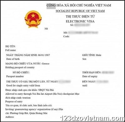 e visa vietnam application example
