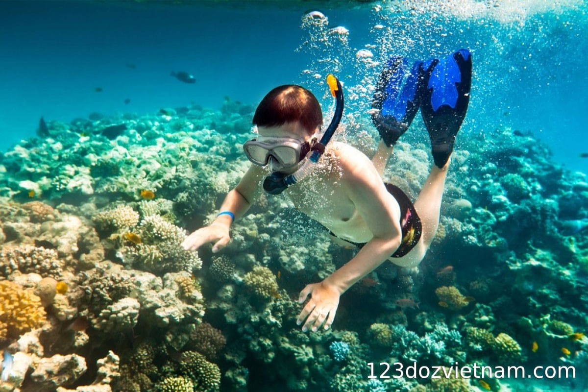 05 notes when diving for foreign tourists