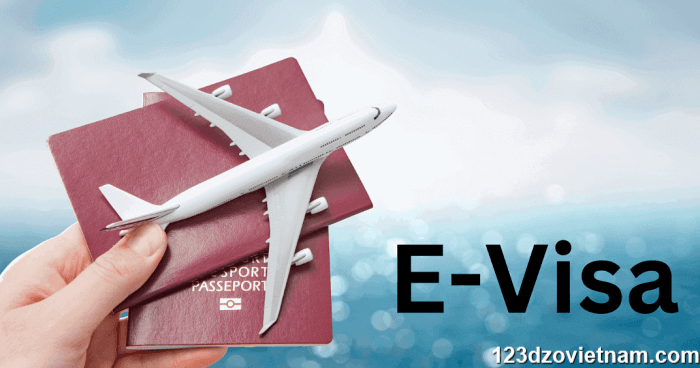 website-gov-vn-visa-5