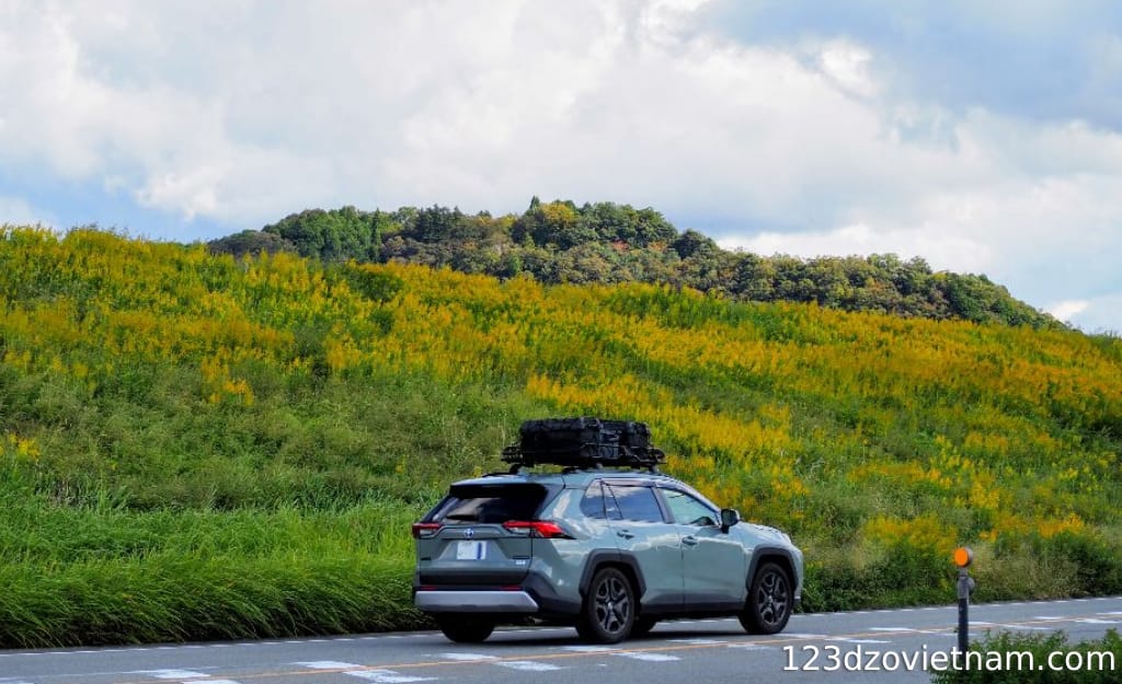 Bean Travel - Rental Cars & More