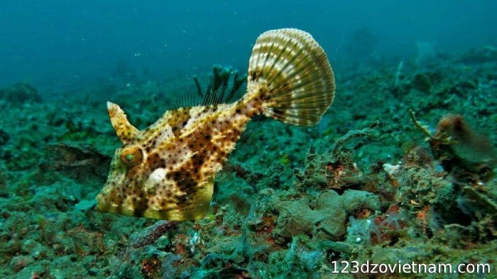 The seawater is crystal clear