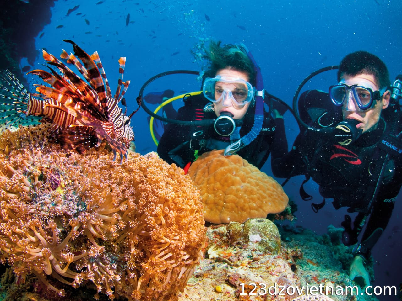 Important tips for scuba diving in Nha Trang