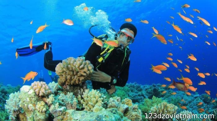 Discover more fascinating things about the seabed