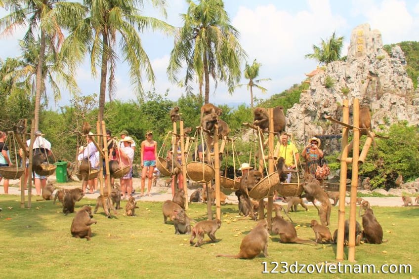Note when visiting Monkey Island in Nha Trang, Vietnam