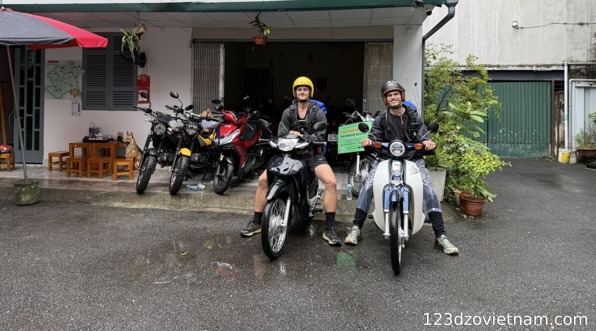 Bee Sophie Motorbike Rental | 123 Ly Tu Trong Street, Ha Giang City
