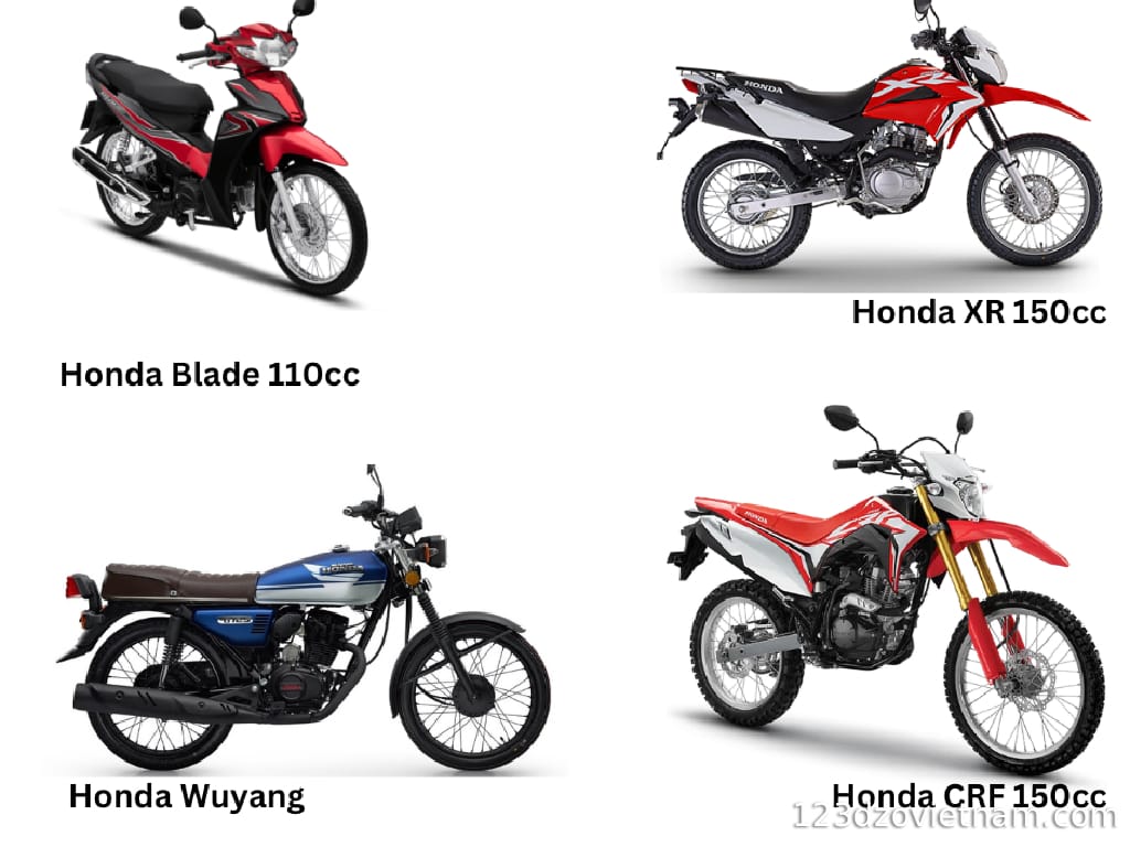 Motorbike for Rent in Ha Giang | 25 Tran Hung Dao Street, Ha Giang City