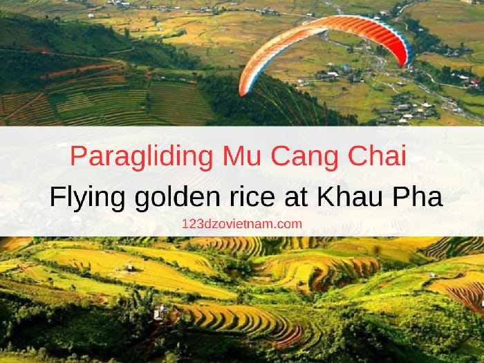Paragliding Mu Cang Chai - Flying golden rice at Khau Pha