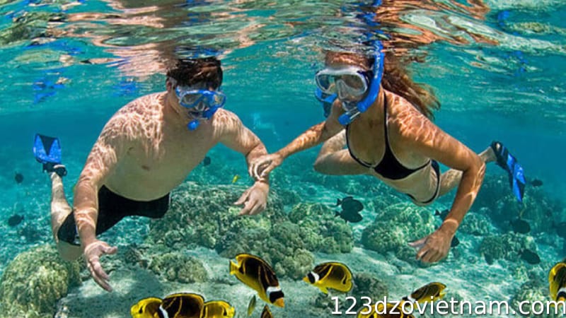 Snorkeling at Hon Tam