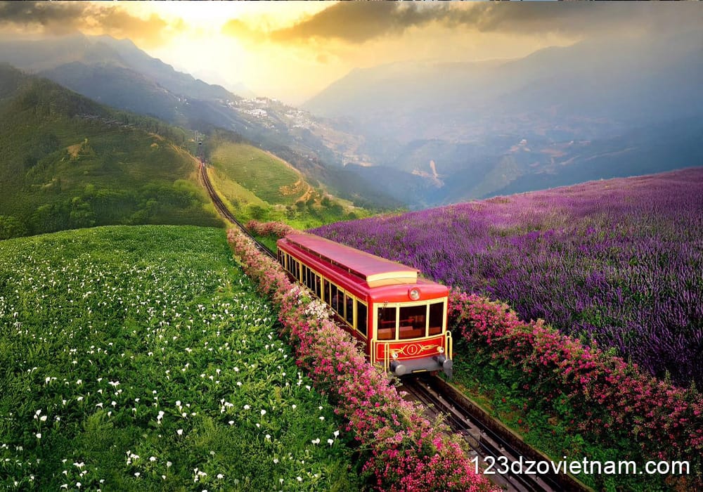 A 6-minute journey to admire the entire Northwest Vietnam valley.