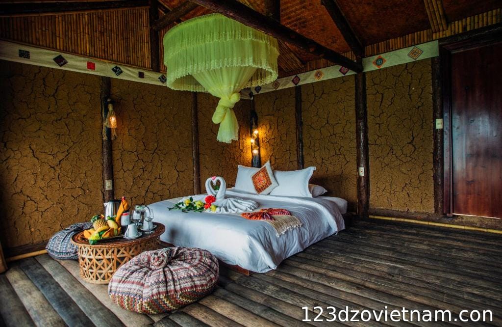Eco Palms House