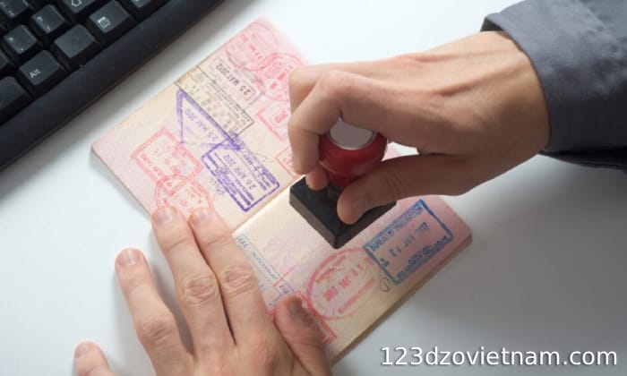 Ineligible passport