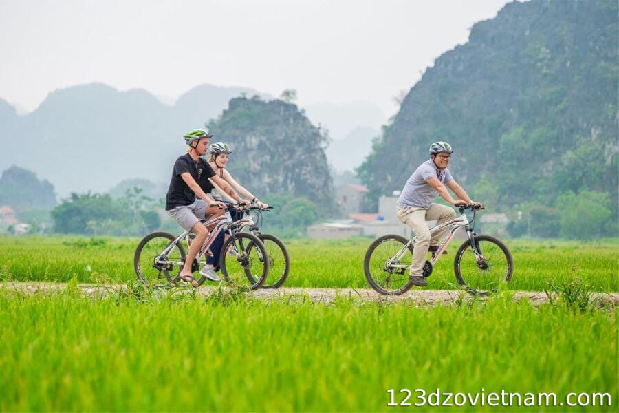 Ivy Bike & Electric Bike Rental Tam Cốc