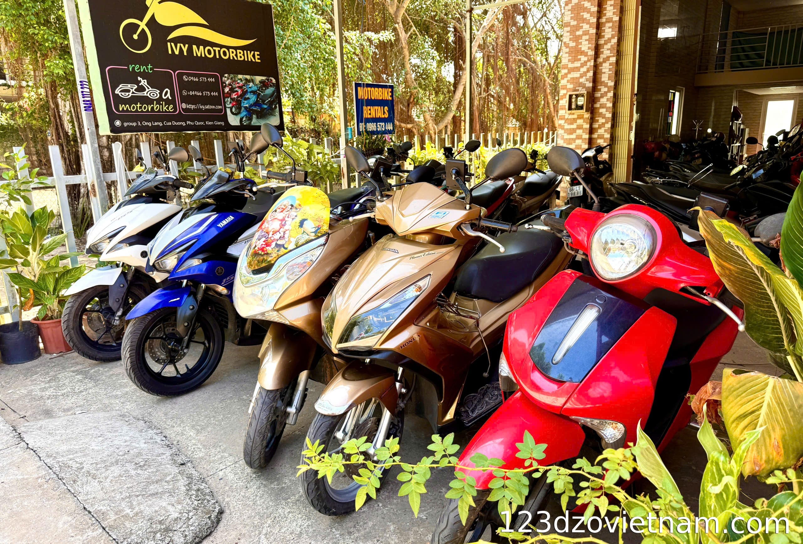 Ivy Motorbike - Motorbike rental