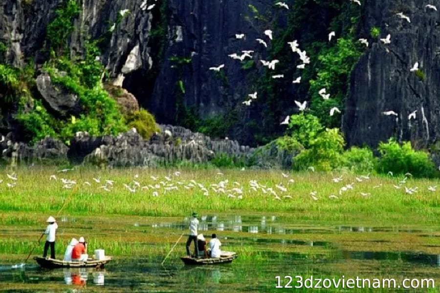 Tam Coc - Thung Nham Bird Garden