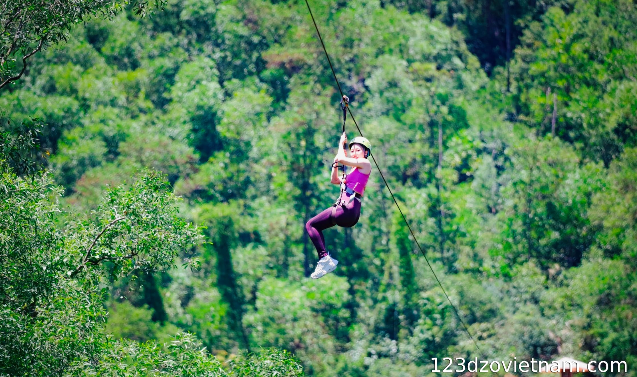 A 560m slide through the forest
