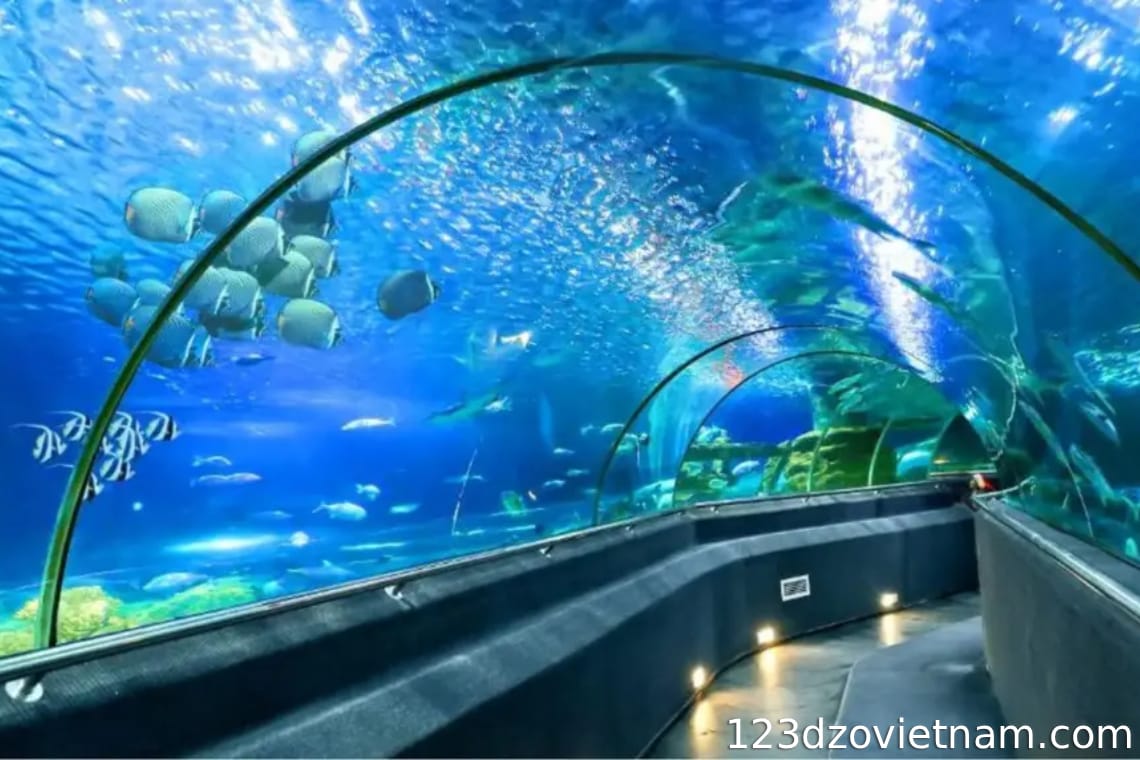 Institute of Oceanography