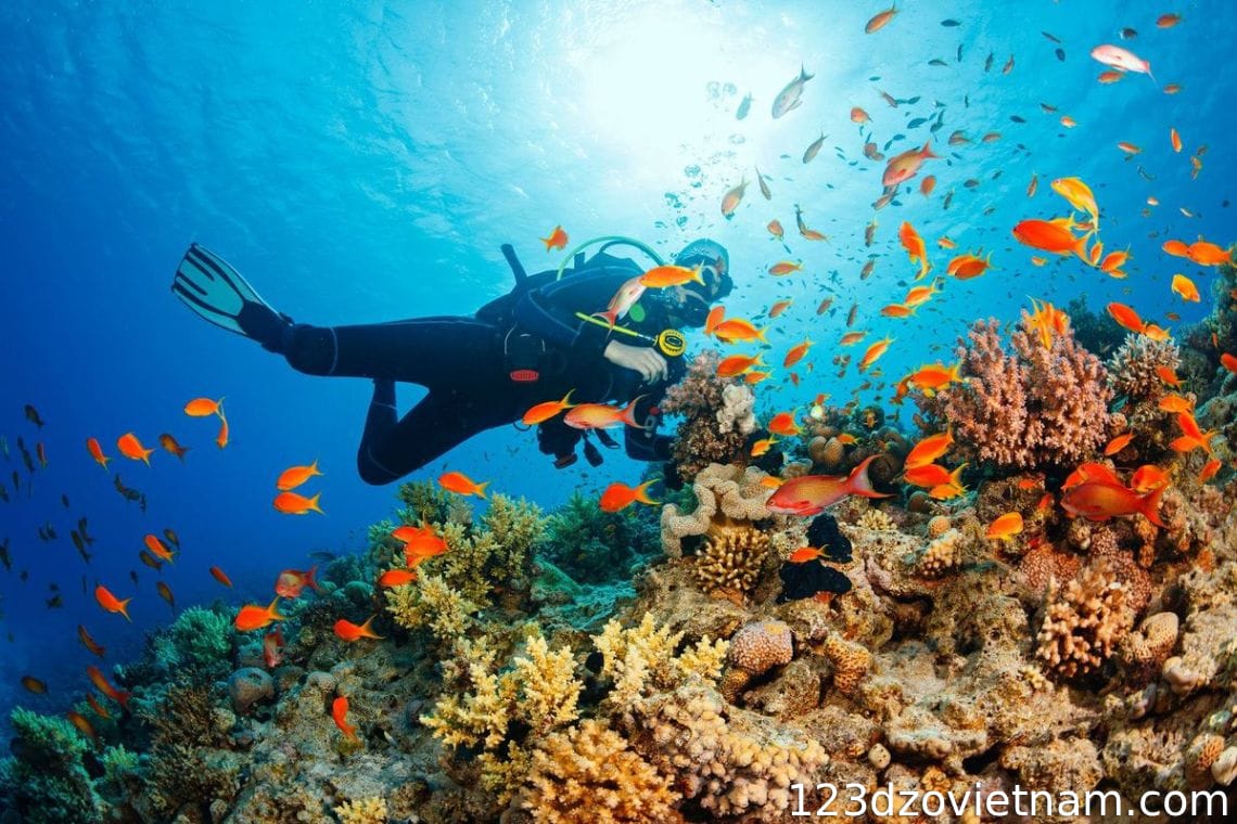 Scuba diving at Hon Mun Island
