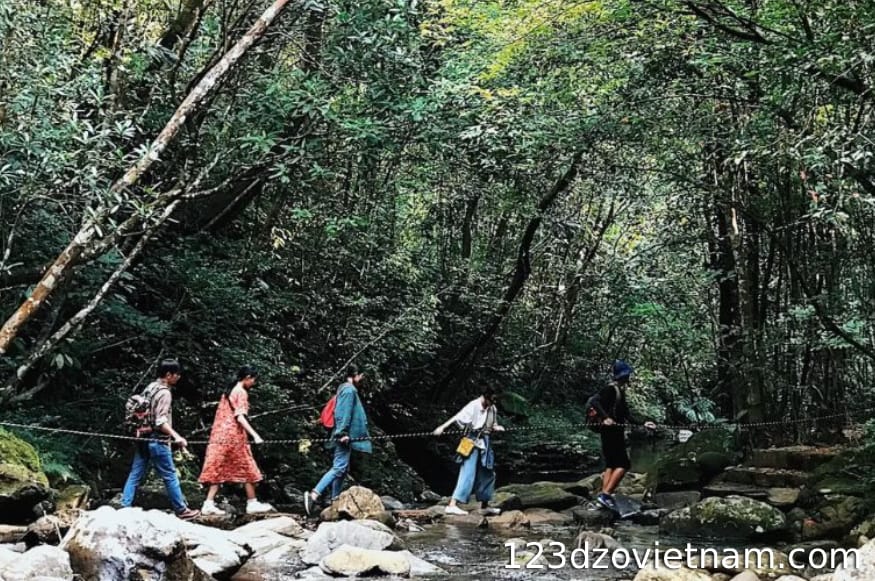 Trekking experience