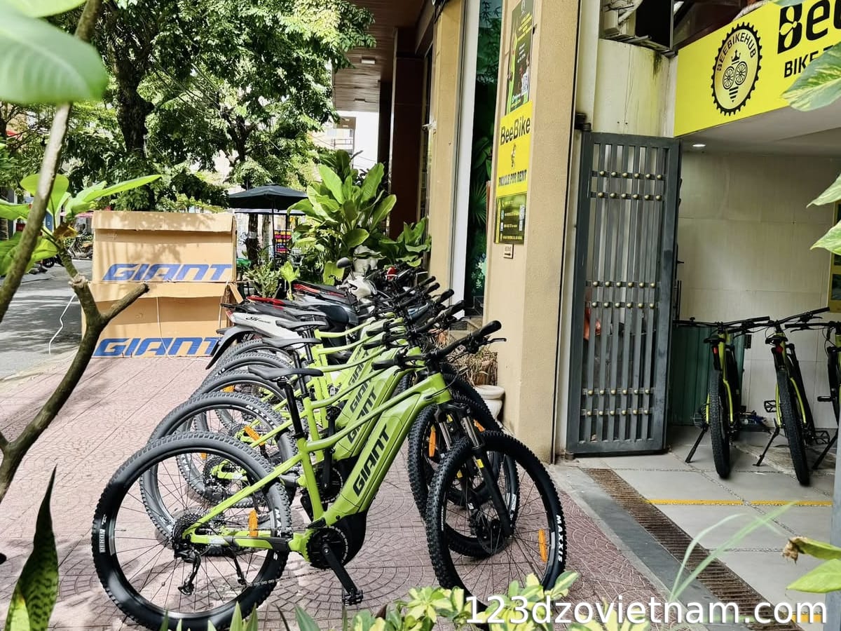 Address for renting premium e-bikes like Giant Fathom E+