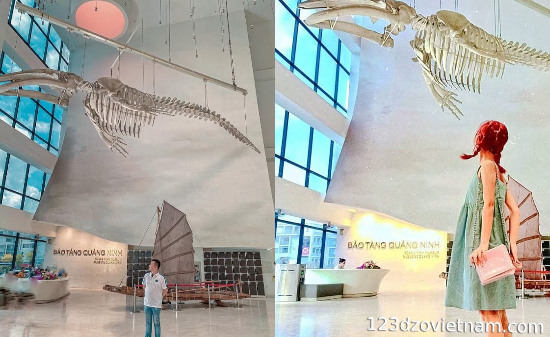 Giant whale skeleton (1st floor)