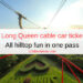 Ha Long Queen cable car tickets? All hilltop fun in one pass