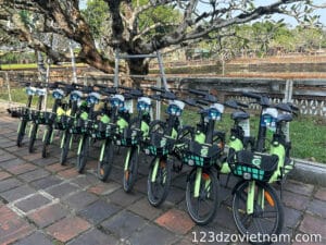 gcoo-electric-assisted-bicycles