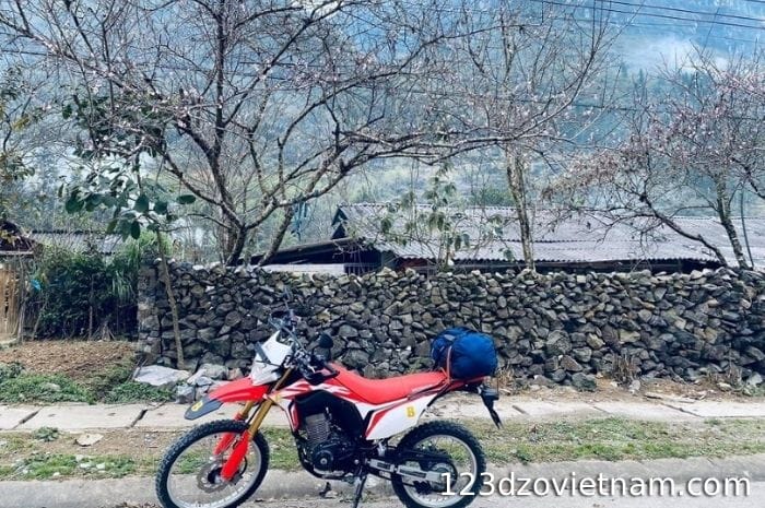 rent-a-crf-at-tuan-motorbike-rental