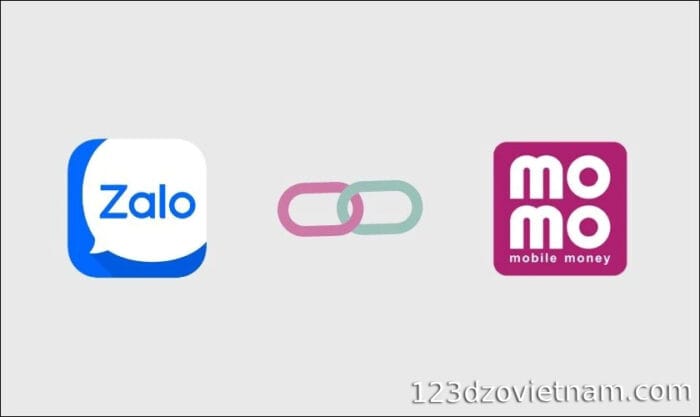 domestic-wallets-momo-zalopay (1)
