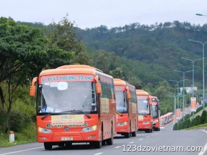 things-to-note-when-booking-ho-chi-minh-city-da-lat-bus-tickets